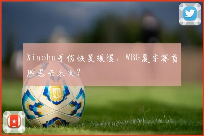 Xiaohu手伤恢复缓慢，WBG夏季赛首胜悬而未决？